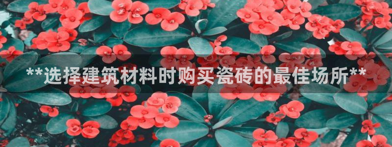 杏鑫平台招商电话号码是多少