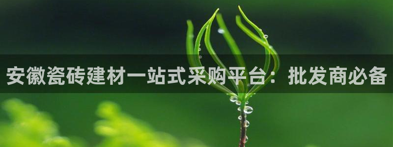 杏鑫娱乐怎么下