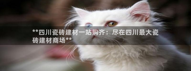 杏鑫官方平台怎么样啊