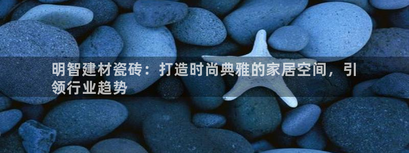 杏鑫代理注册资金多少