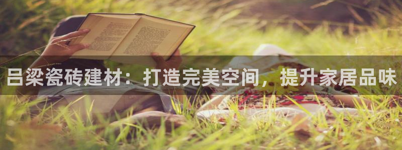 杏鑫平台注册入口