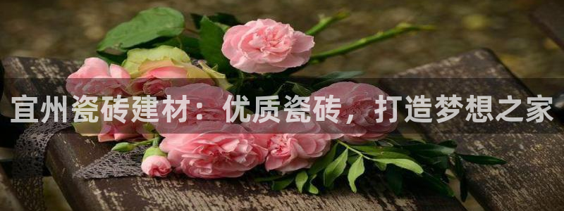 杏鑫娱乐怎么样