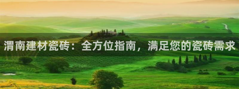 杏鑫平台登录地址查询