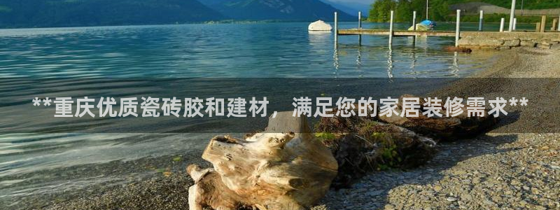 杏鑫注册登录代理公司