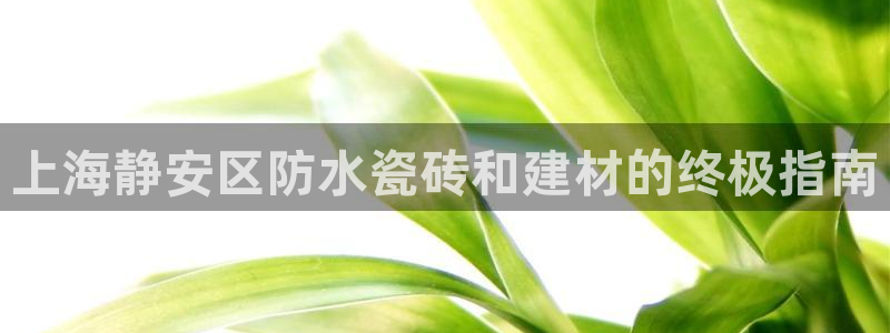 杏鑫平台代理注册登录不了怎么办呀视频