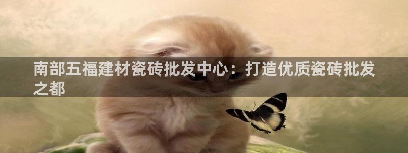 杏鑫平台登录注册