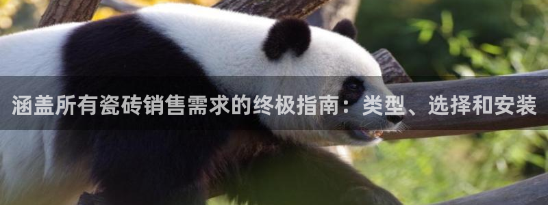 杏鑫官网注册账号密码是什么