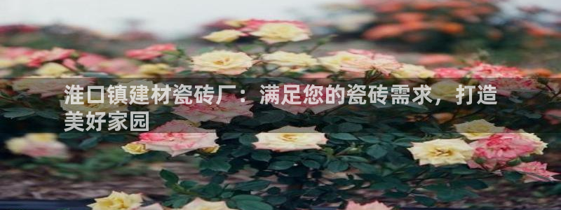 杏鑫官网注册账号是什么