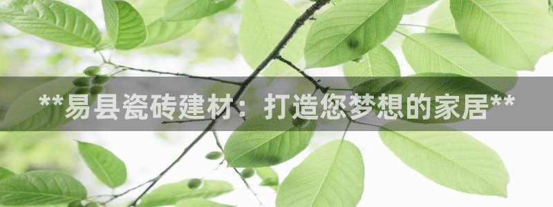 杏鑫平台代理