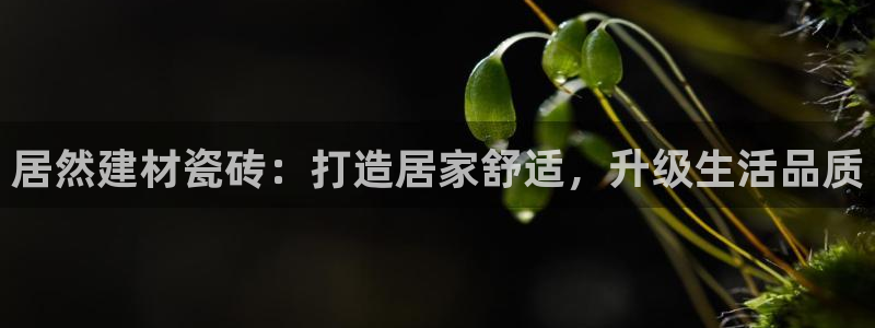 杏鑫官网最新信息