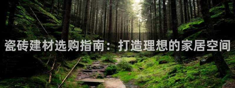 杏鑫平台代理注册