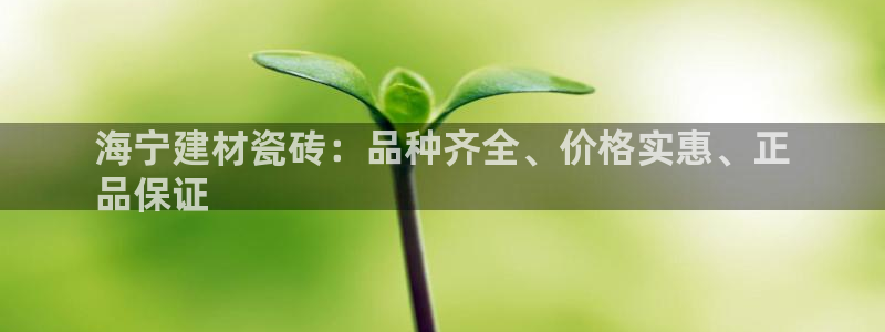 杏鑫官网最新信息