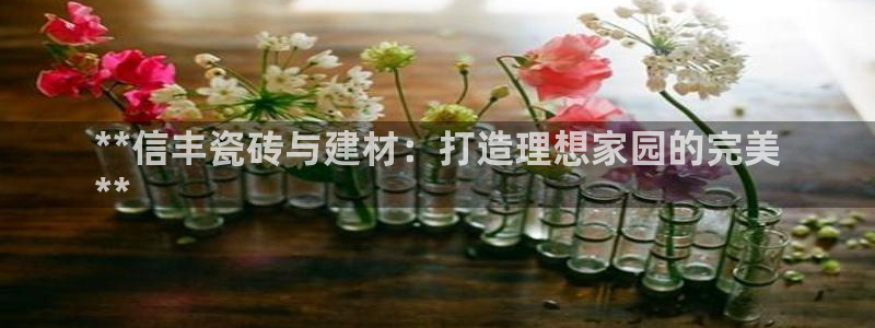 杏鑫平台代理注册流程视频