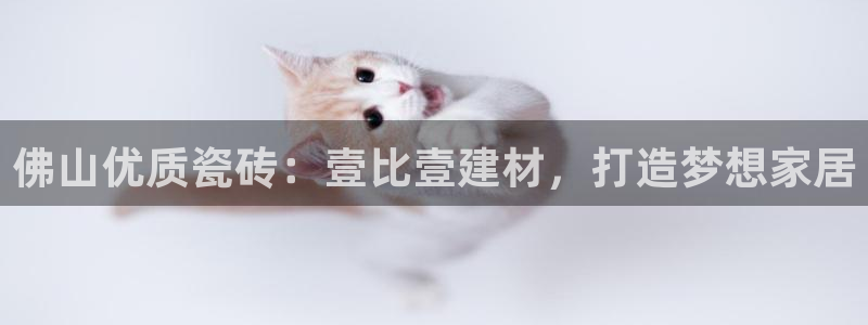 杏鑫娱乐负责人