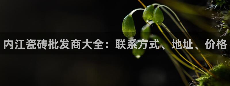杏鑫平台登录注册