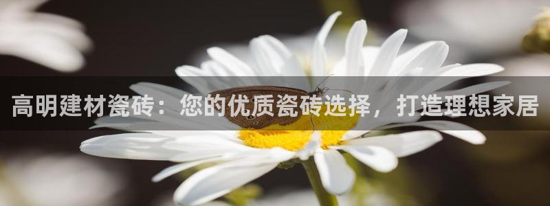 杏鑫平台怎么样黑钱吗安全吗是真的吗