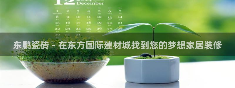 杏鑫平台怎么样