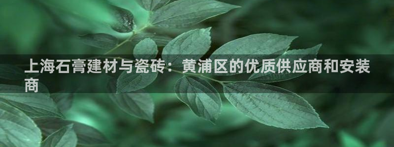 杏鑫官方平台怎么样啊