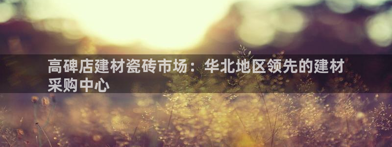 杏鑫平台代理怎么样赚钱