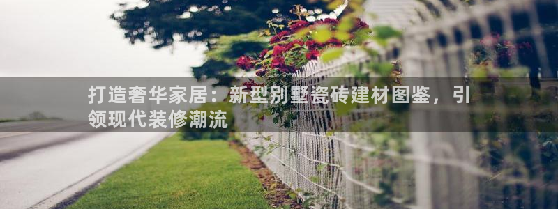 杏鑫3主管