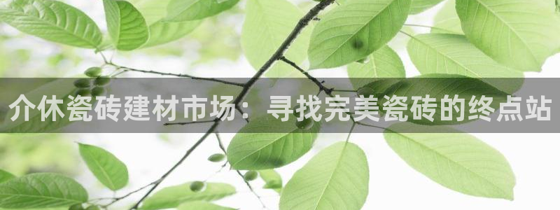 杏鑫平台靠谱吗