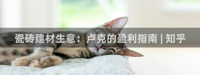 杏鑫平台怎么样
