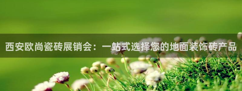 杏鑫3主管