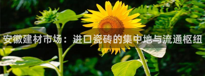 杏鑫娱乐平台测速怎么样