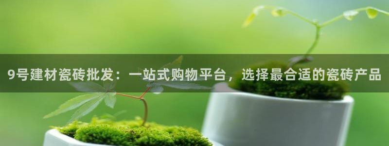 杏鑫平台直属哪个公司