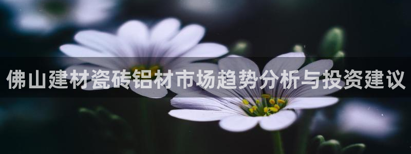 杏鑫官方平台怎么样啊