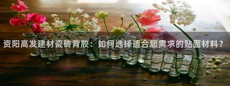 杏鑫平台正规吗