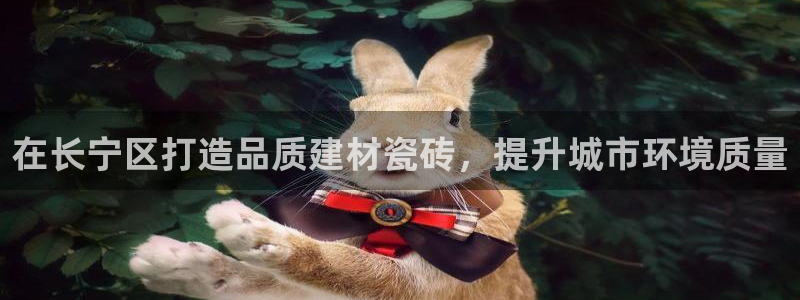 杏鑫官方平台怎么样啊安全吗