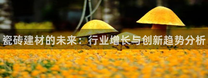 杏鑫娱乐怎么下