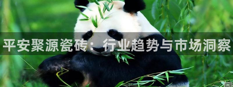 杏鑫有亏损返点吗