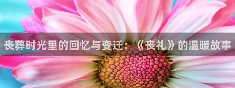 狼人杀类电影：丧葬时光里的回忆与变迁：《丧礼》的温暖故事