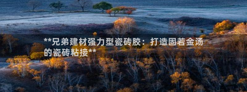 杏鑫官网注册账号怎么注册不了