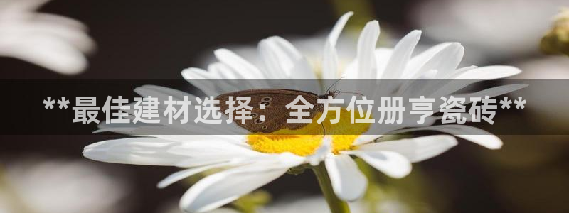 杏鑫官网注册账号是什么
