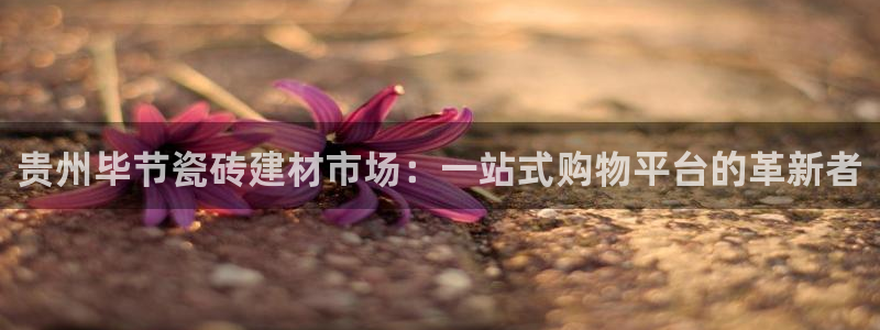 杏鑫平台登录地址