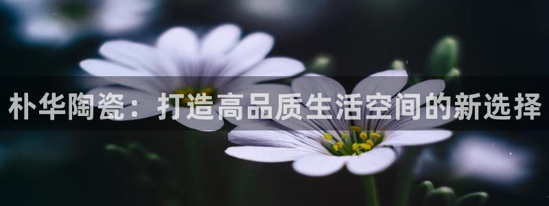 杏鑫平台注册入口在哪