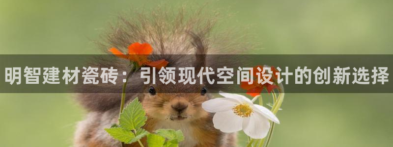 杏鑫官方平台怎么样啊安全吗