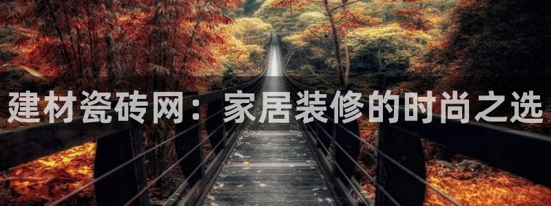 杏鑫官方app代理