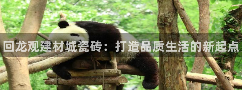 杏鑫平台靠谱吗