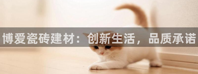 杏鑫平台线路测速