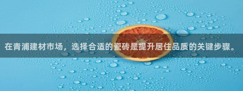 杏鑫平台代理注册流程