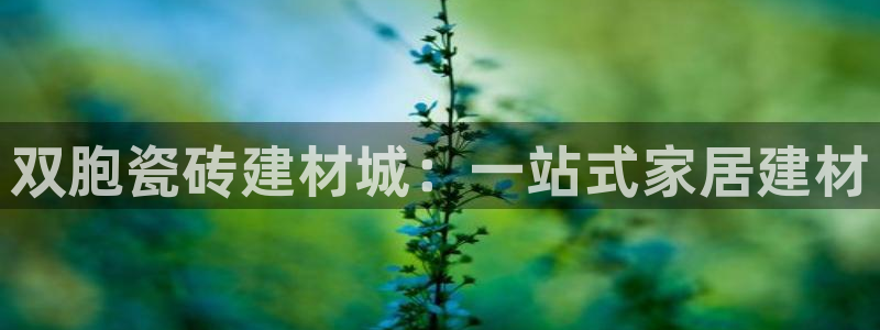 杏鑫官方平台怎么样啊可靠吗