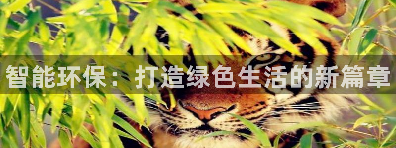 杏鑫代理注册资金多少