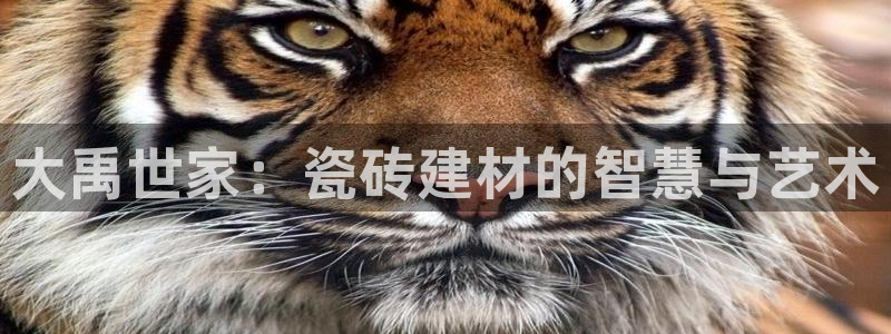 杏鑫平台在线注册怎么注册